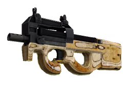 P90 | Shapewood (Well-Worn)