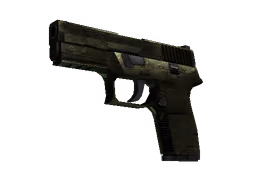 P250 | Iron Clad (Battle-Scarred)